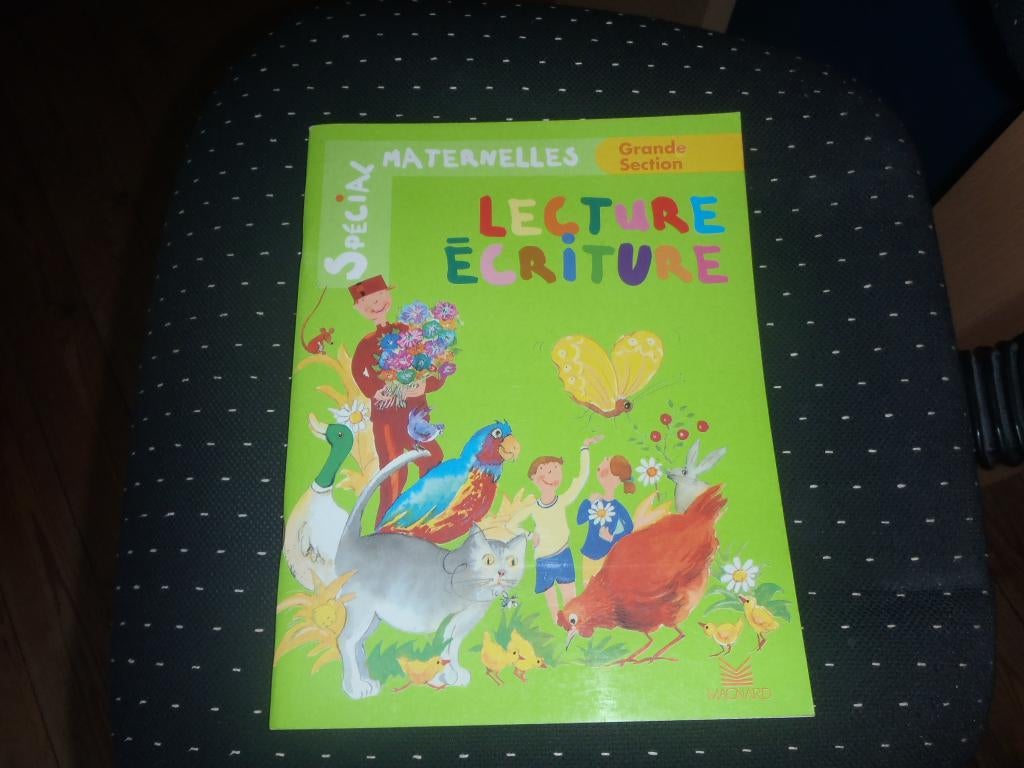 livre maternelle grande section lecture-écriture, Enlèvement ou Envoi, Comme neuf, Autres niveaux, Français