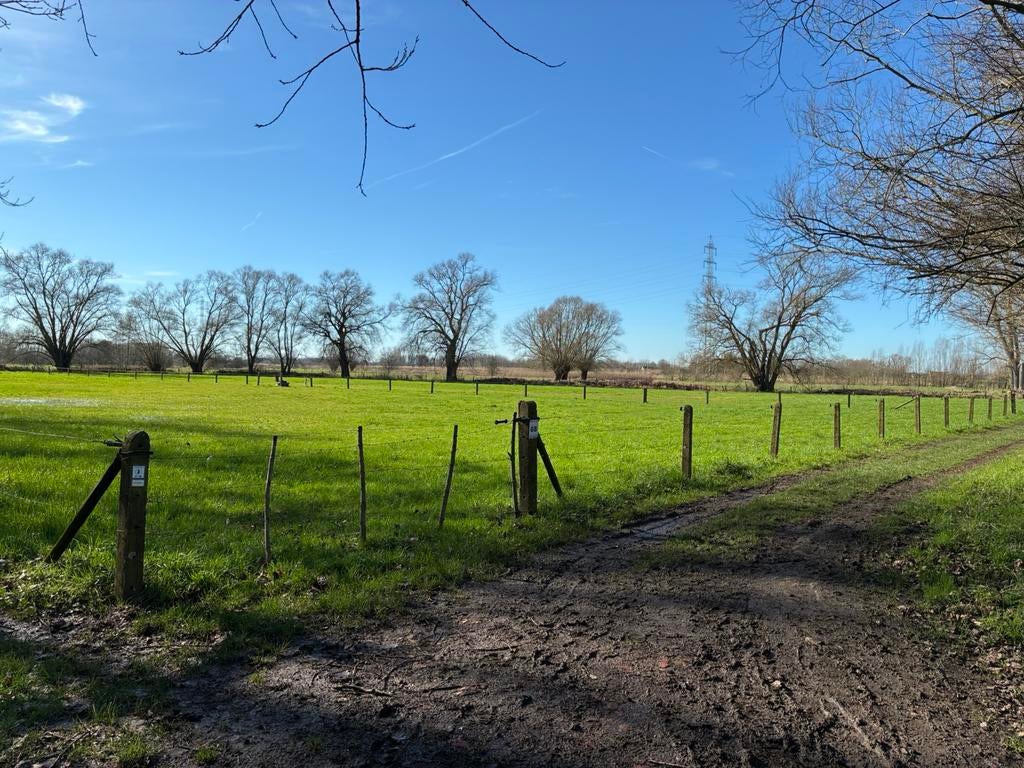 Pâturage à vendre, Pâturage, 4 chevaux ou poneys ou plus
