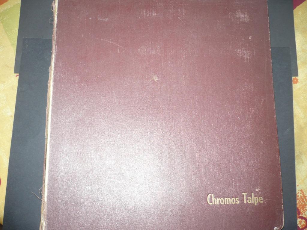 Chicorée TALPE: 1 album + 22 séries complètes + 101 chromos, Collections, Collections complètes & Collections, Enlèvement ou Envoi