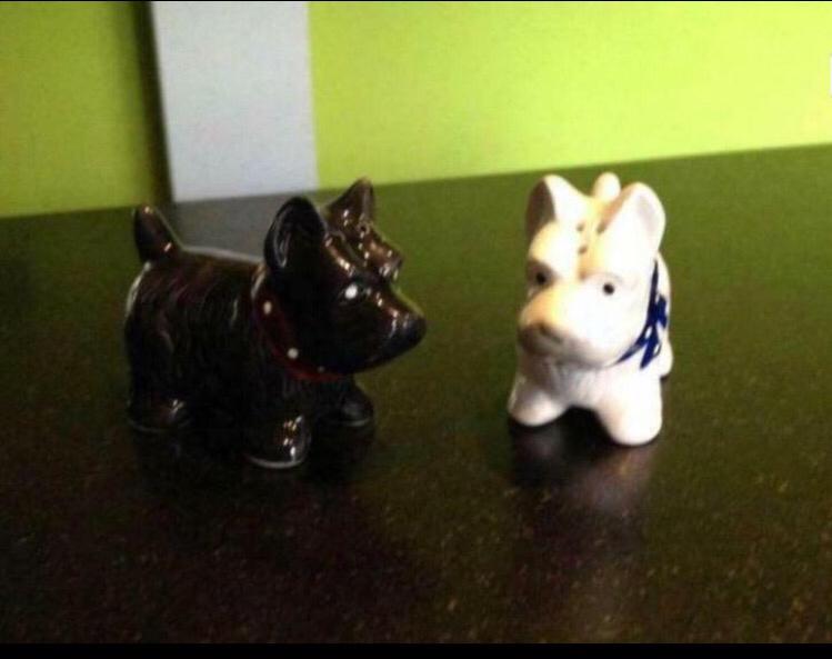 Chiens de sel au poivre, Enlèvement ou Envoi, Comme neuf