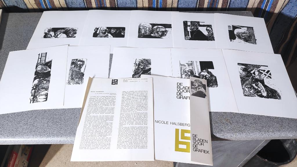 De bladen voor de grafiek Nicole Halsberghe, Boeken, Ophalen of Verzenden