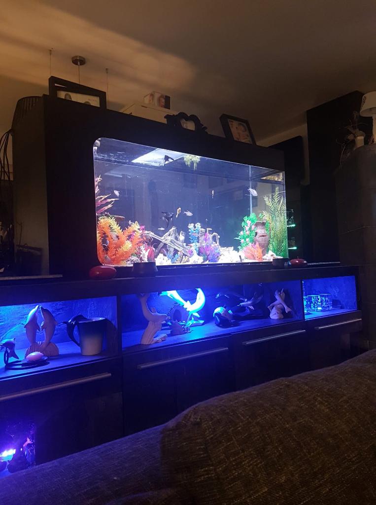 Aquarium 120x40cm, Animaux & Accessoires, Enlèvement, Utilisé, Aquarium vide