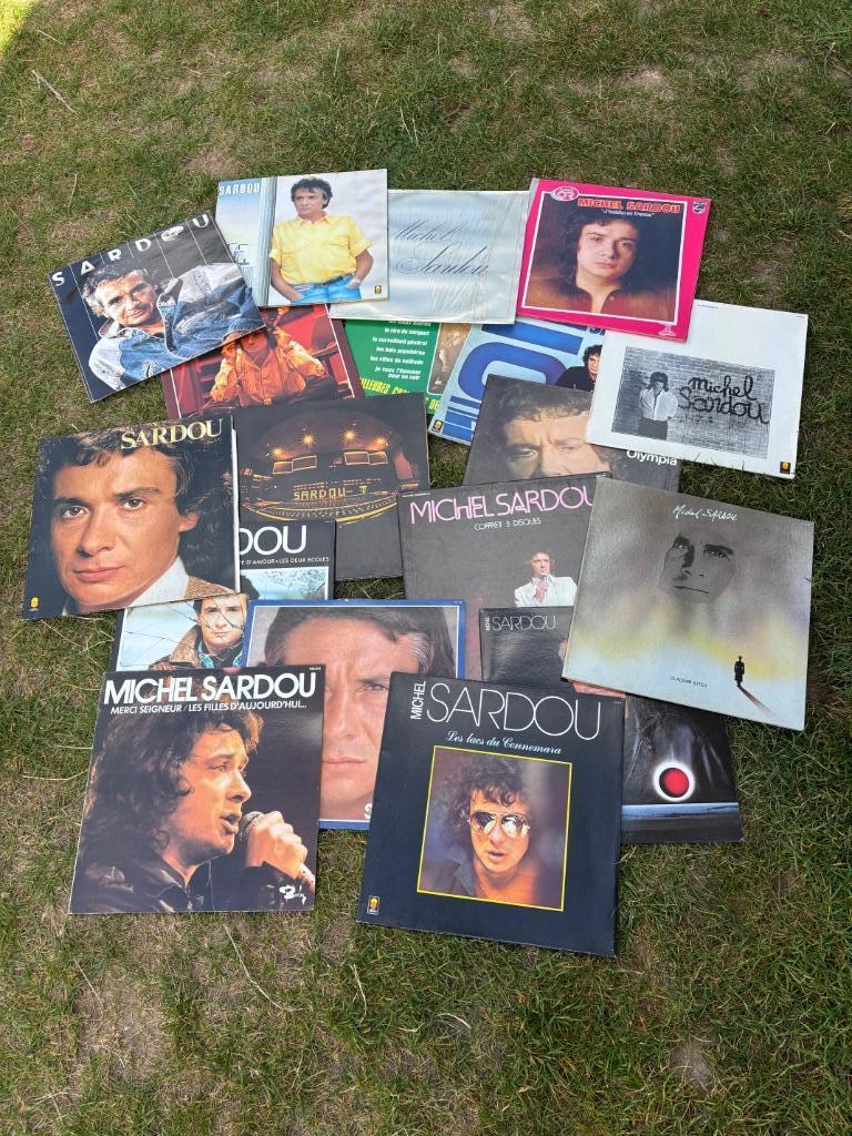lot 33 tours de Michel Sardou (18), Enlèvement, Utilisé