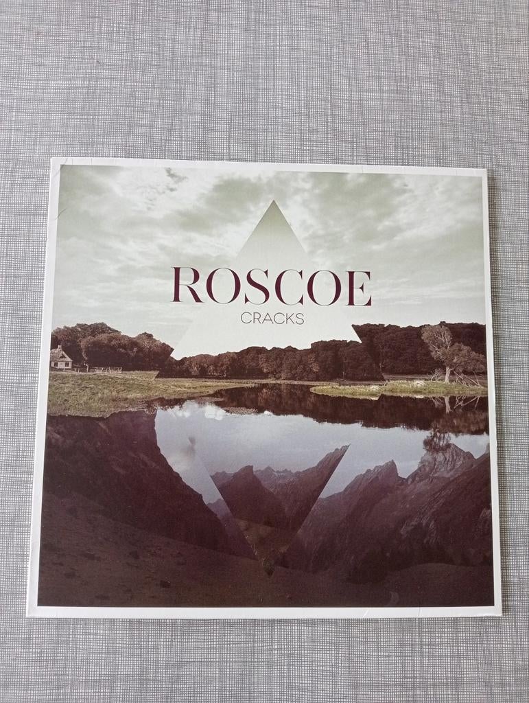 Belpop Roscoe album Cracks 2012 groupe liégeois, Enlèvement ou Envoi, Utilisé, 12 pouces, Alternatif
