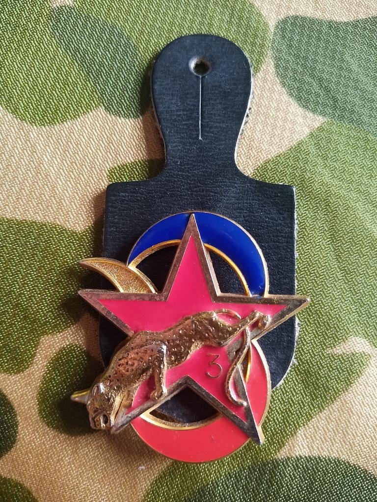 Insigne de l'Escadron d'Éclairage Divisionnaire lire annonce, Collections, Objets militaires | Général, Armée de terre, Enlèvement ou Envoi