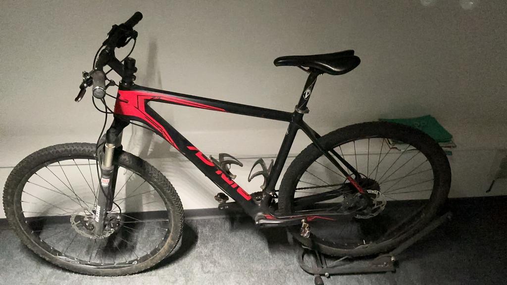 Mountainbike carbon ridley L, Fietsen en Brommers, Ophalen, Gebruikt, Heren