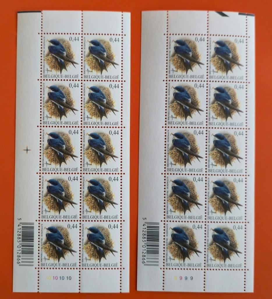 2004 HIRONDELLE DE FENETRE 20 TIM-PL-9-10, Envoi
