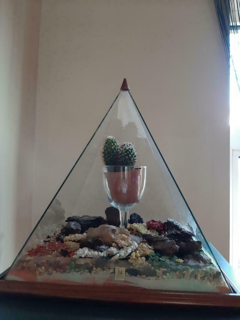 Belle pyramide pour mettre des fleurs des cactus, Enlèvement, Comme neuf