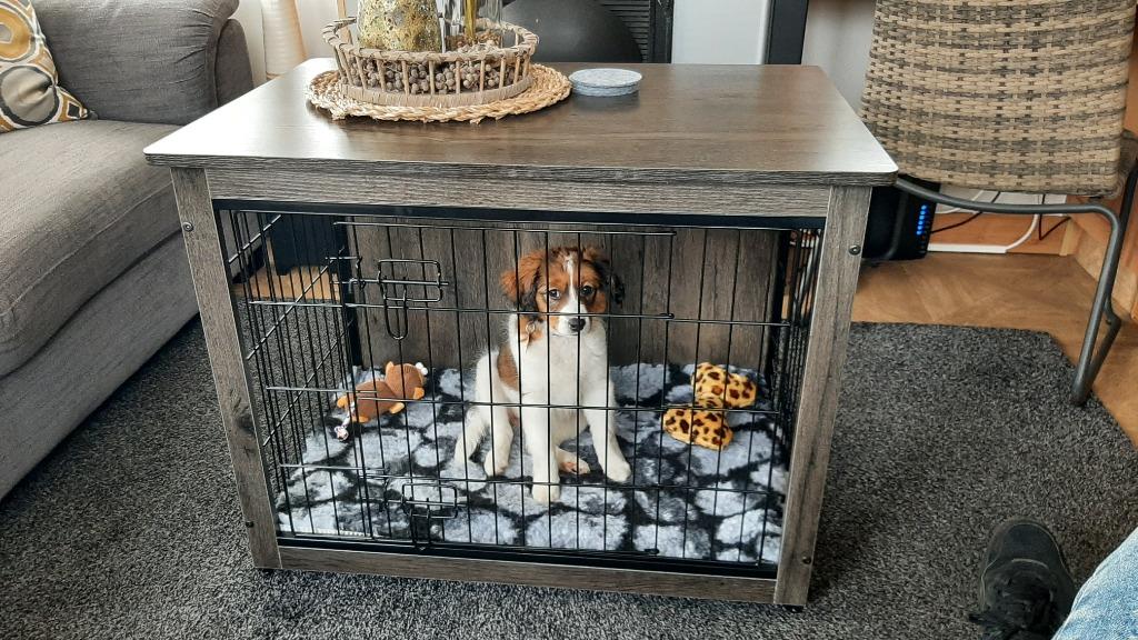Hondenbench Houten cover Puppy Bench Hond + gratis Benchmat, Dieren en Toebehoren, Hondenbenches, Nieuw, Ophalen of Verzenden