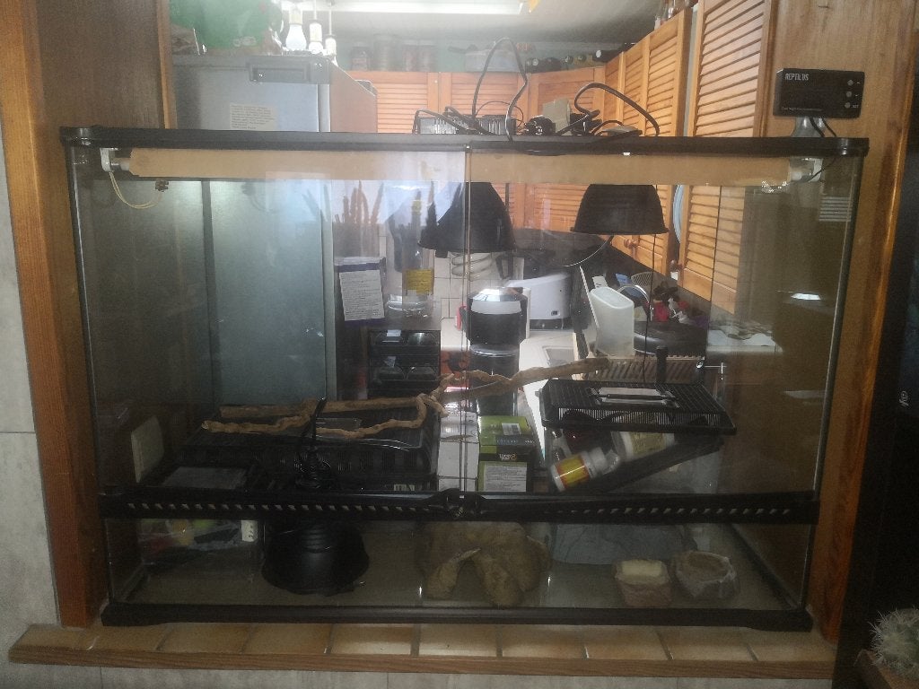 Terrarium Exo Terra Faire une offre, Animaux & Accessoires, Enlèvement