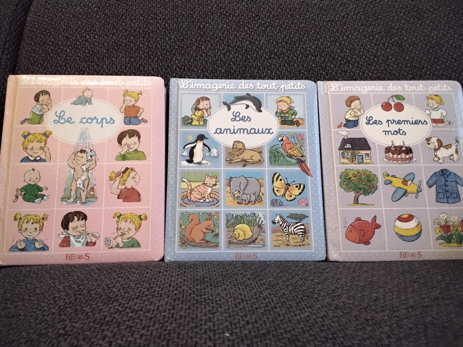 L’imagerie des tout petits, Enlèvement