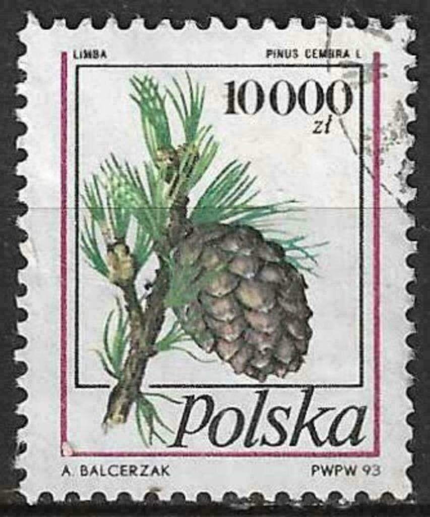 Polen 1993 - Yvert 3252 - Dennenappels (ST), Verzenden, Polen, Gestempeld