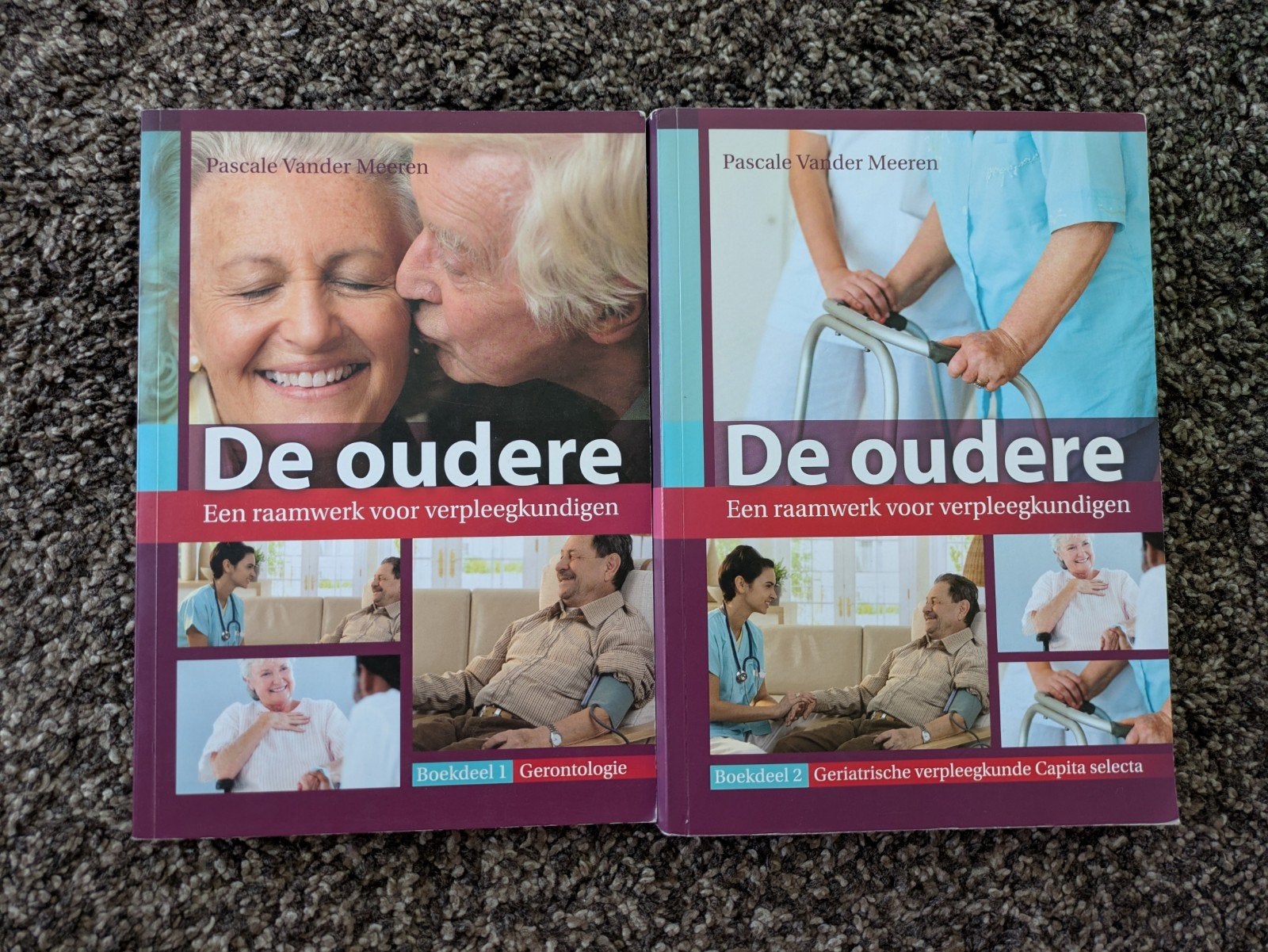 Pascale Vander Meeren - De oudere, Boeken, Ophalen of Verzenden, Pascale Vander Meeren