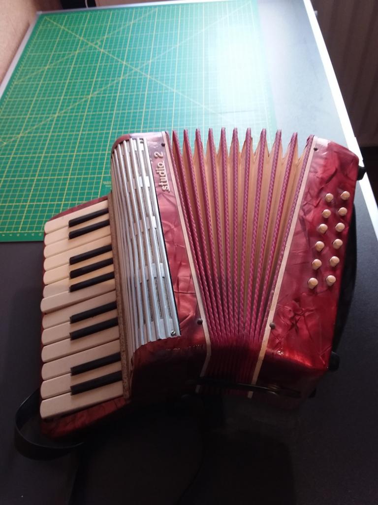 Accordéon pour enfants, Enlèvement ou Envoi