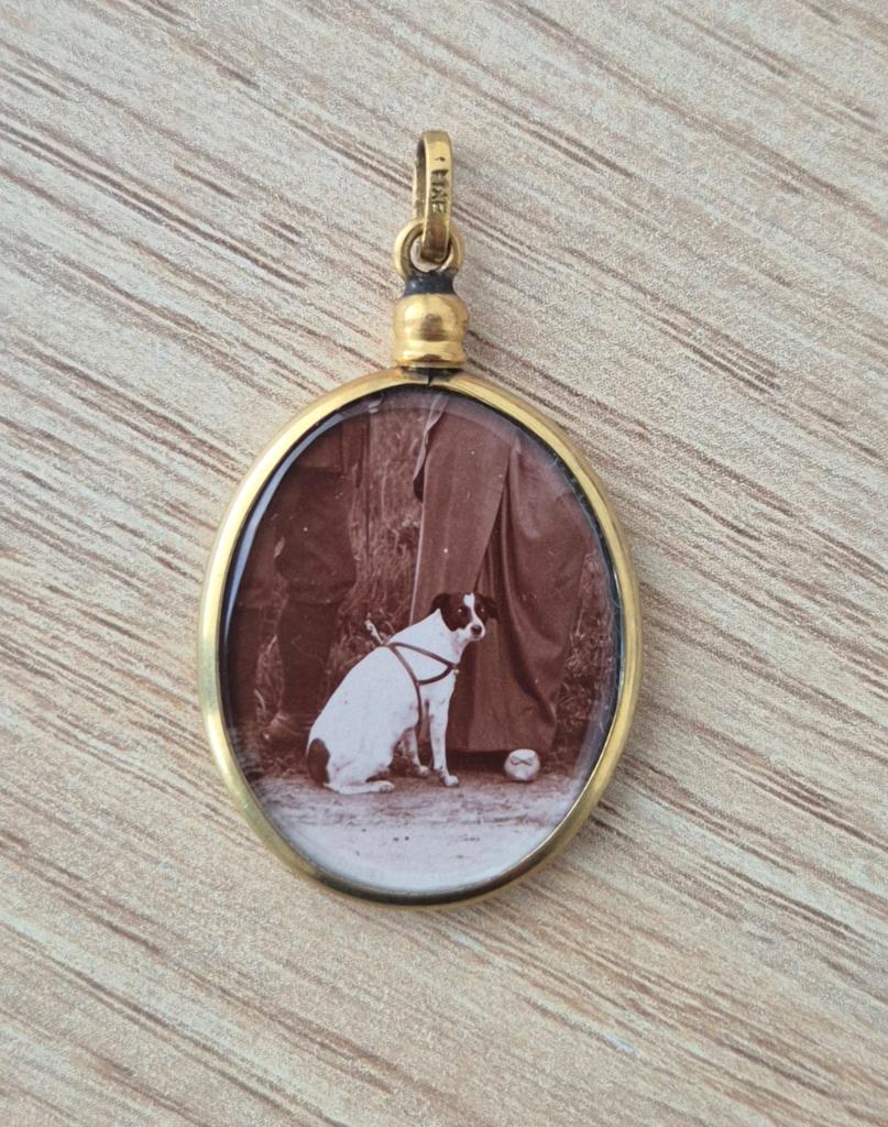 Rare / Curiosité : médaillon souvenir canin, Antiquités & Art, Enlèvement ou Envoi