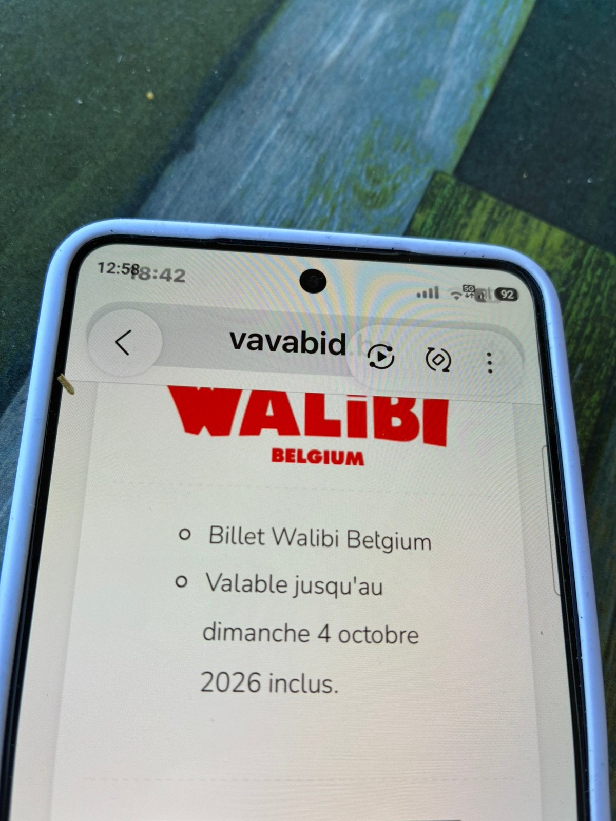 4placépour walibi 70€ avant le 4 octobre, Enlèvement ou Envoi, Comme neuf