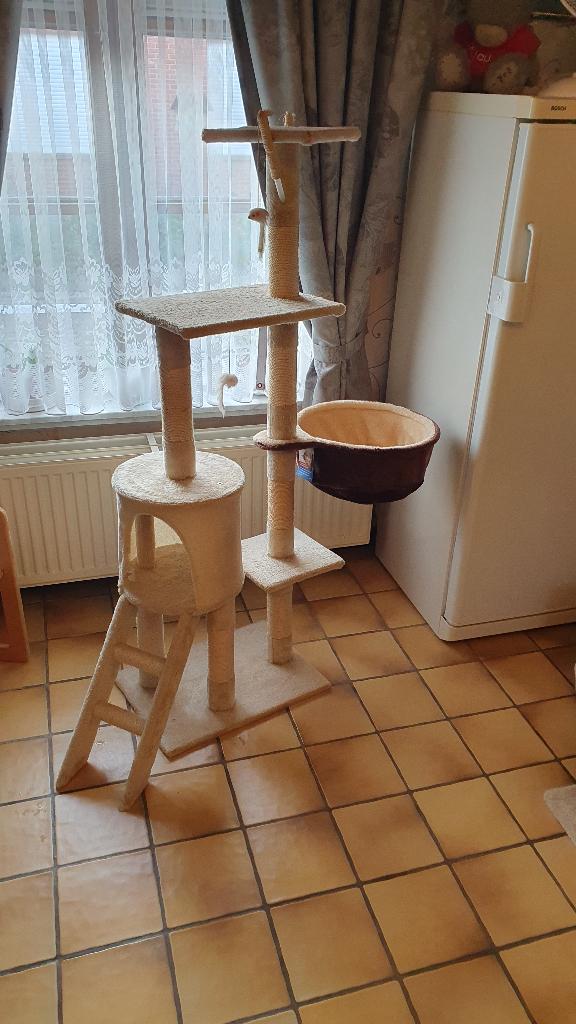 Bel arbre à chat en très bon état, Enlèvement, Comme neuf, Griffoir