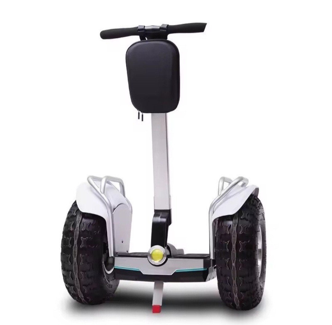 Daibot Elektrische Balance Scooter, Ophalen