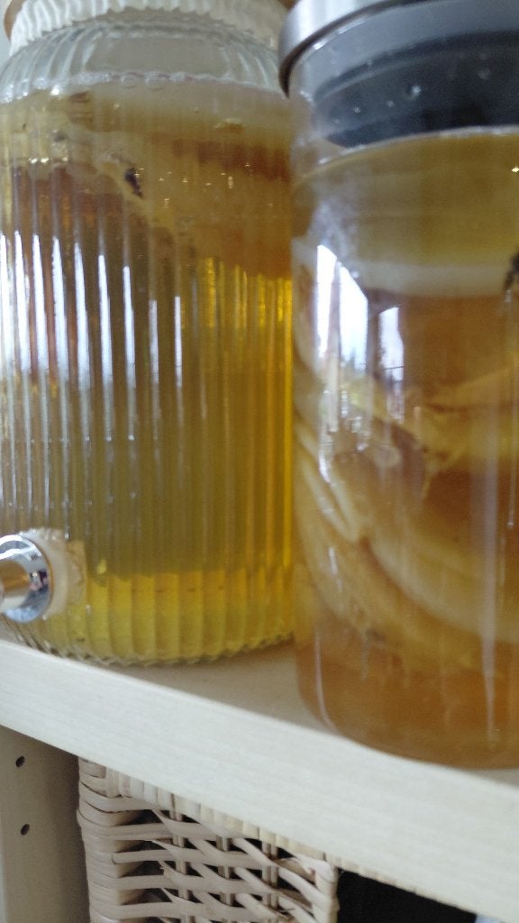 Komboucha scoby et/ou kéfir au lait, Enlèvement