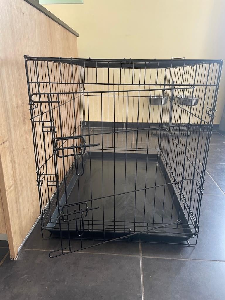Cage pour chien, Dieren en Toebehoren, Ophalen, Nieuw