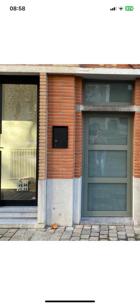 Voordeur Reynaers aluminium grijsgroen, Doe-het-zelf en Bouw, Ophalen, Gebruikt, 80 tot 100 cm, Buitendeur