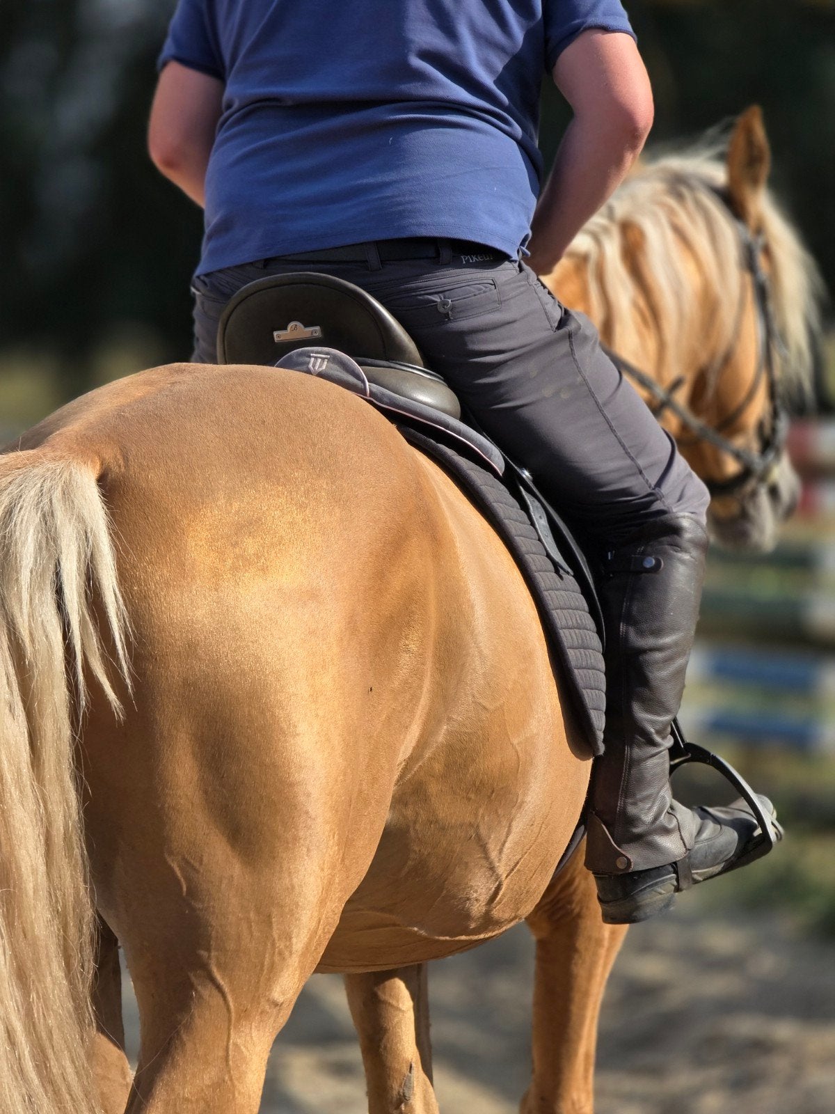 Samenwerking doorrijden paarden, Dieren en Toebehoren, Paarden