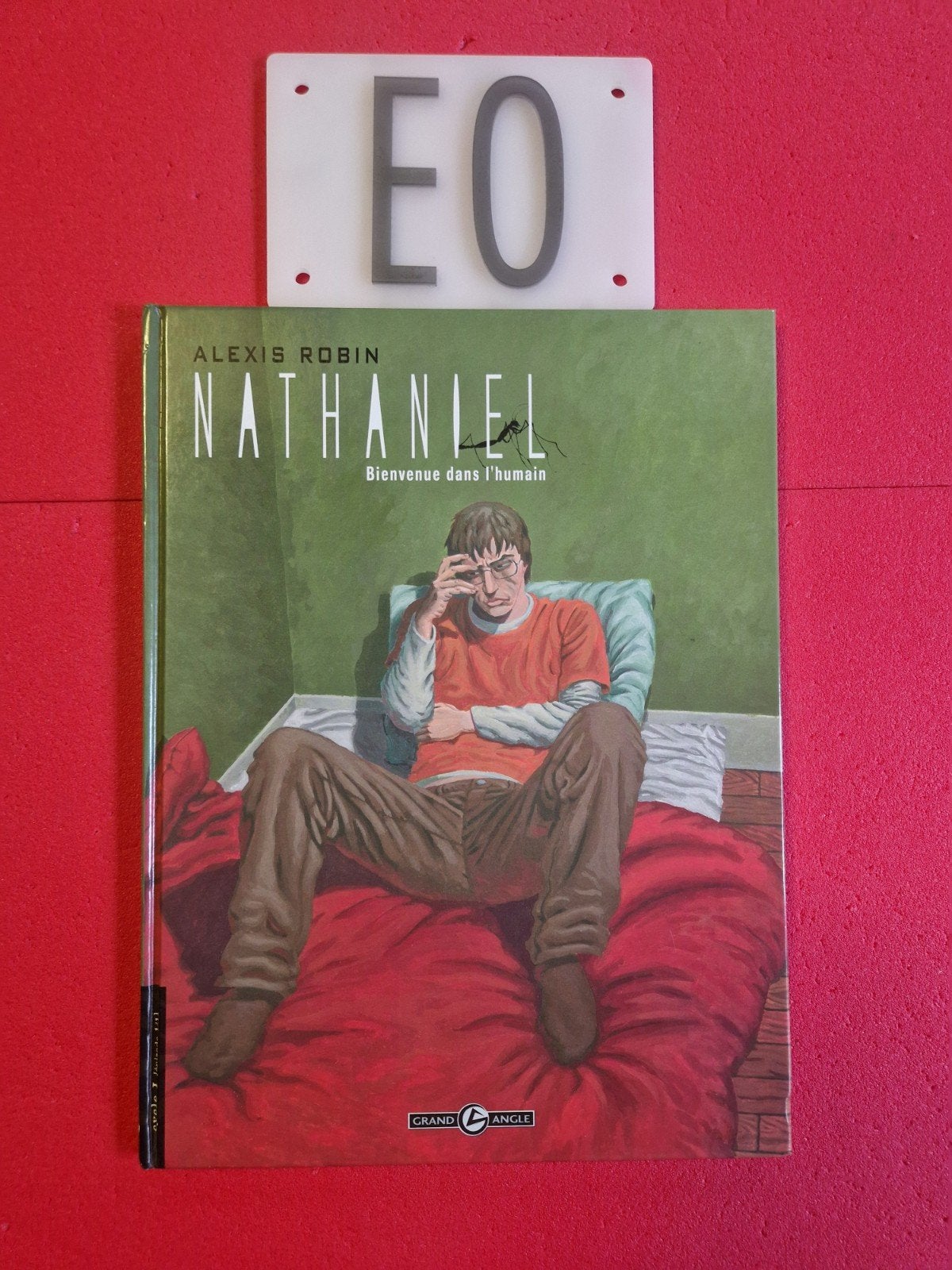 Bd nathaniel 1,EO, Livres, BD, Enlèvement ou Envoi