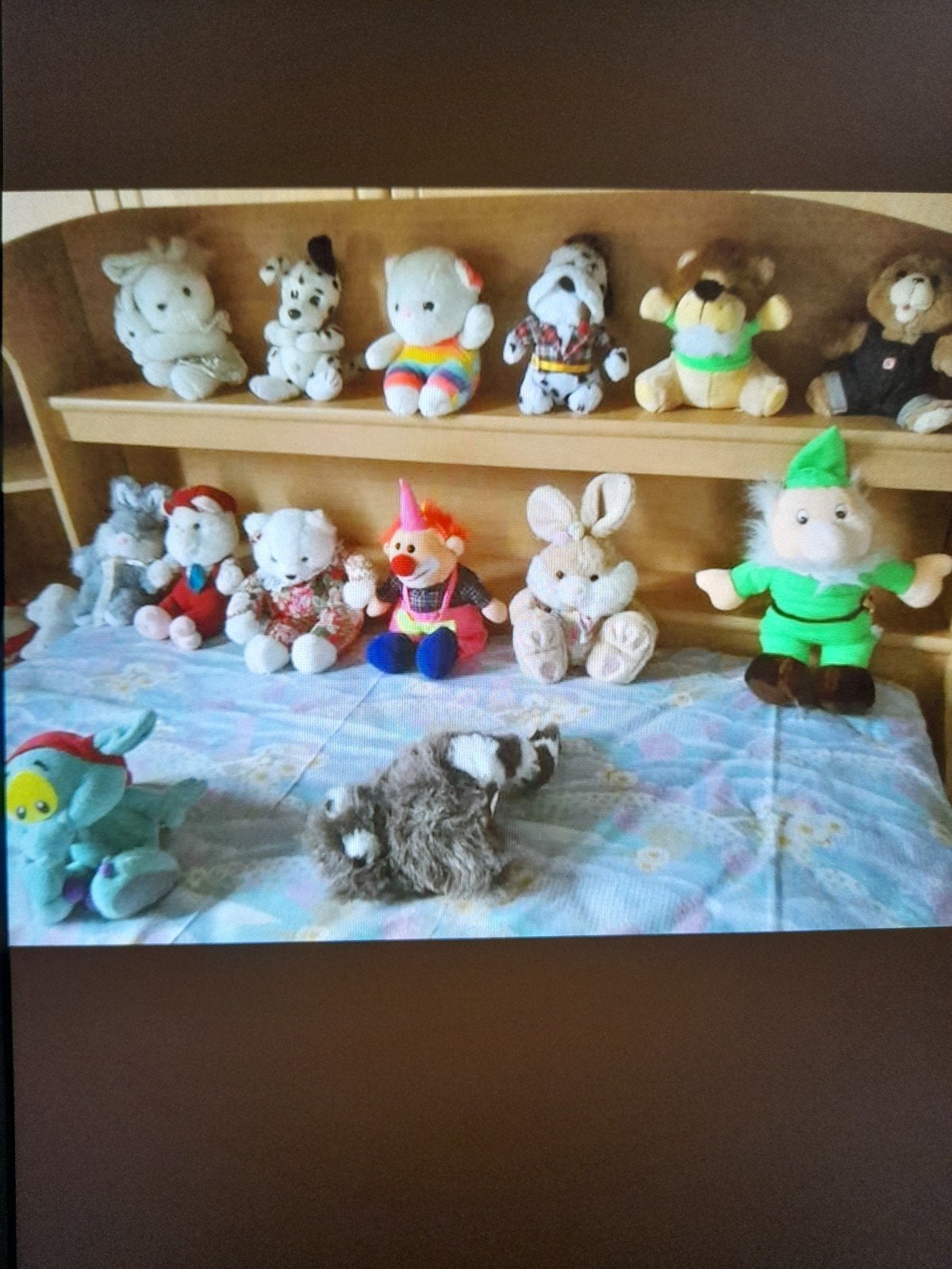 Set van 14 knuffeldieren in perfecte staat: leeuw, hond, kon, Hond, Zo goed als nieuw, Middelgroot (20 tot 80 cm), Meerkleurig