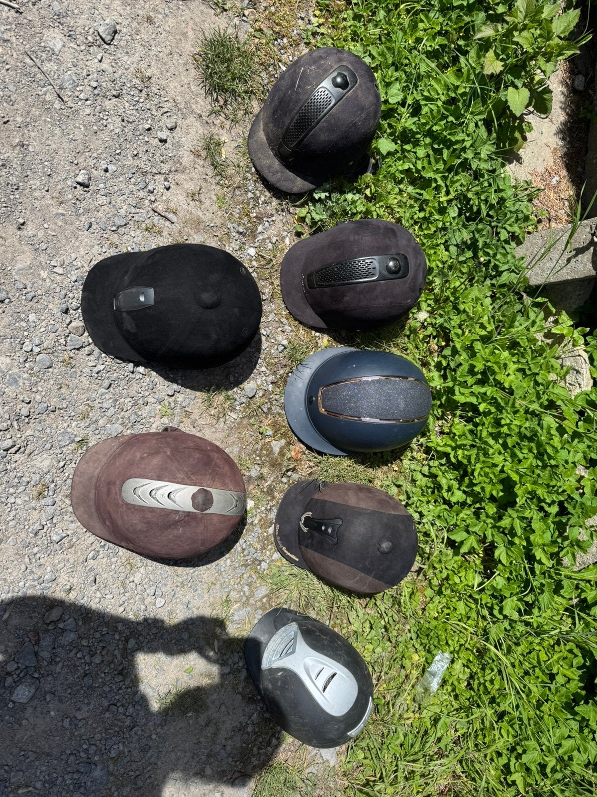 Bombe, Enlèvement ou Envoi, Comme neuf, Équitation