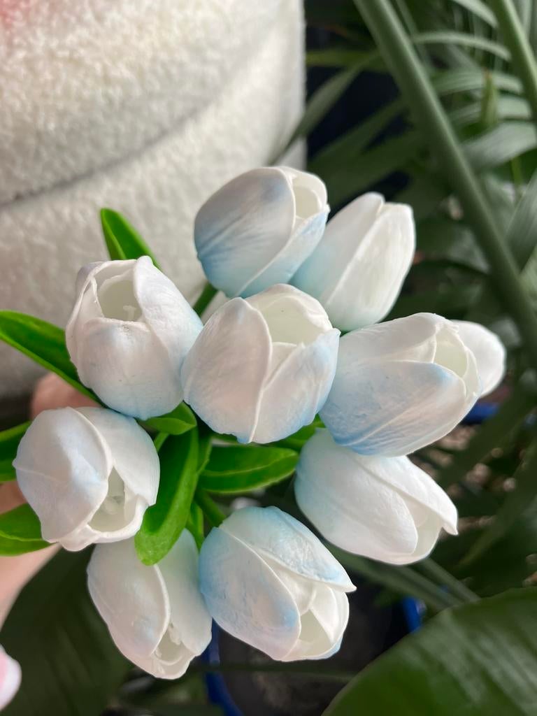 10 tulipes bleues, Enlèvement ou Envoi