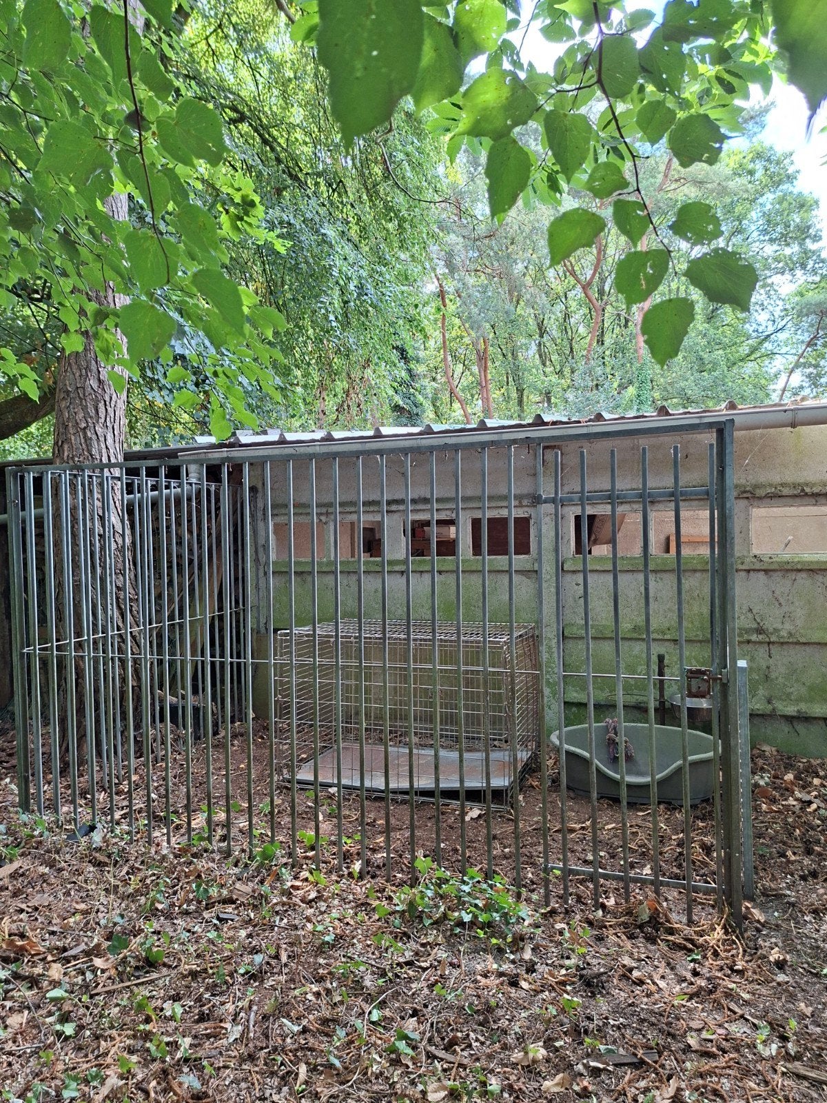 hondenren+hondenbench+mand, Dieren en Toebehoren, Ophalen, Gebruikt, Hondenren