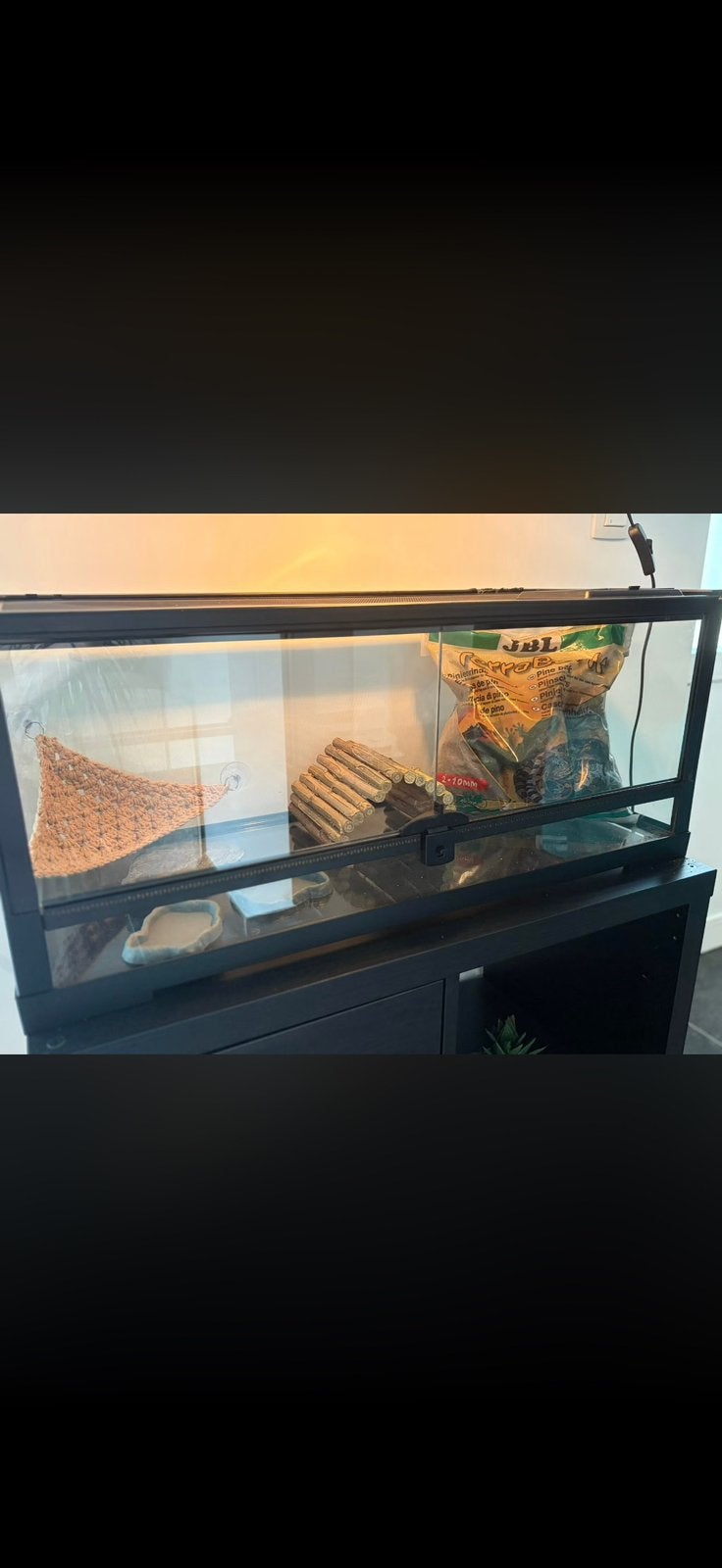 A vendre terrarium complet doit partir, Enlèvement, Comme neuf