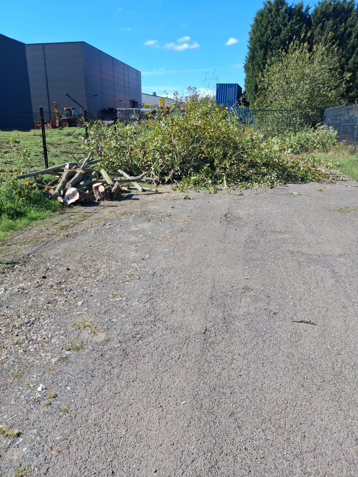 bois à donner( saule), Enlèvement ou Envoi