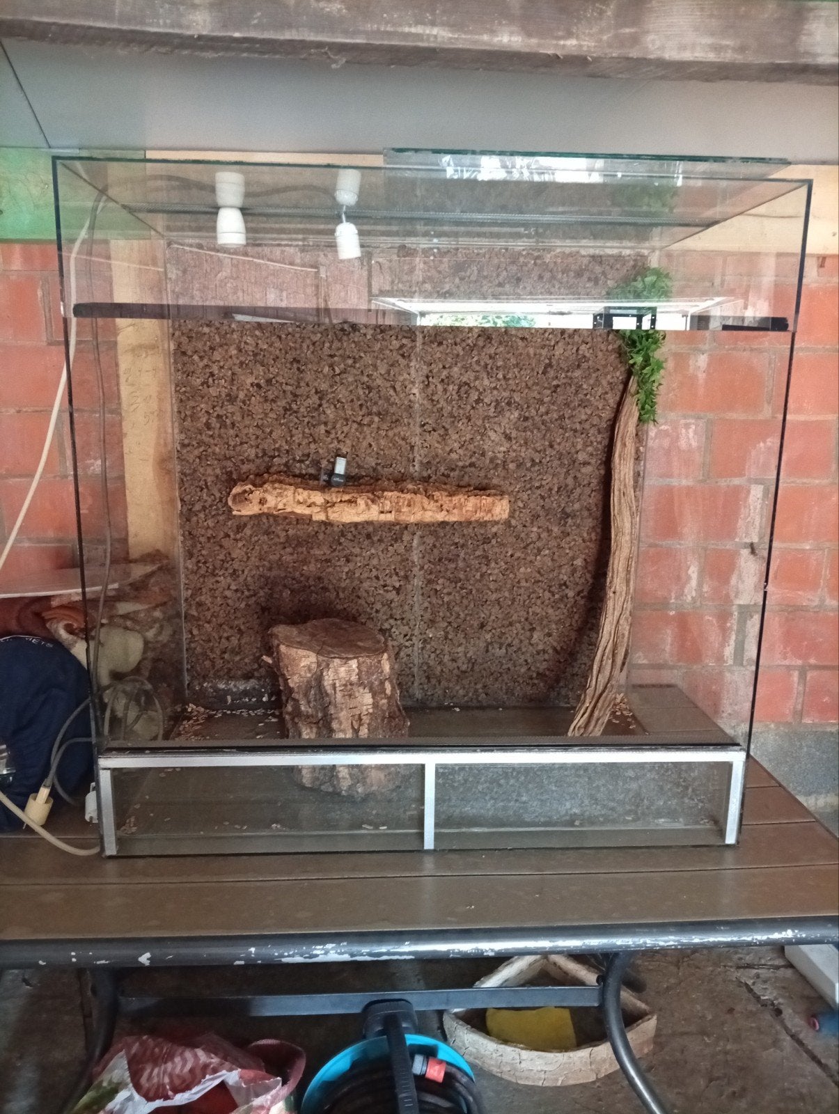 terrarium, Enlèvement ou Envoi