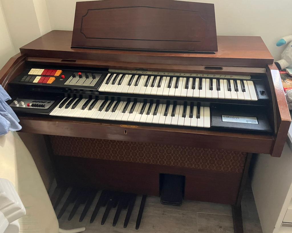 Orgel GEM 2 in nieuwstaat!, Enlèvement, Comme neuf, Orgue