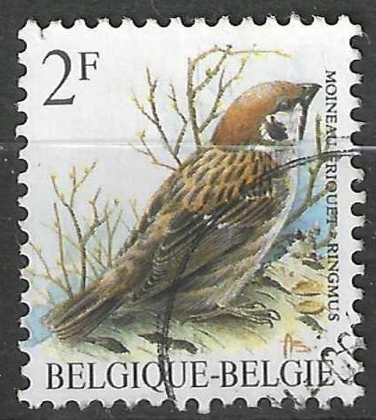 Belgique 1989 - Yvert 2348 /OBP 2347 - Buzin - Ringmus (ST), Timbres & Monnaies, Timbres | Europe | Belgique, Affranchi, Véhicules