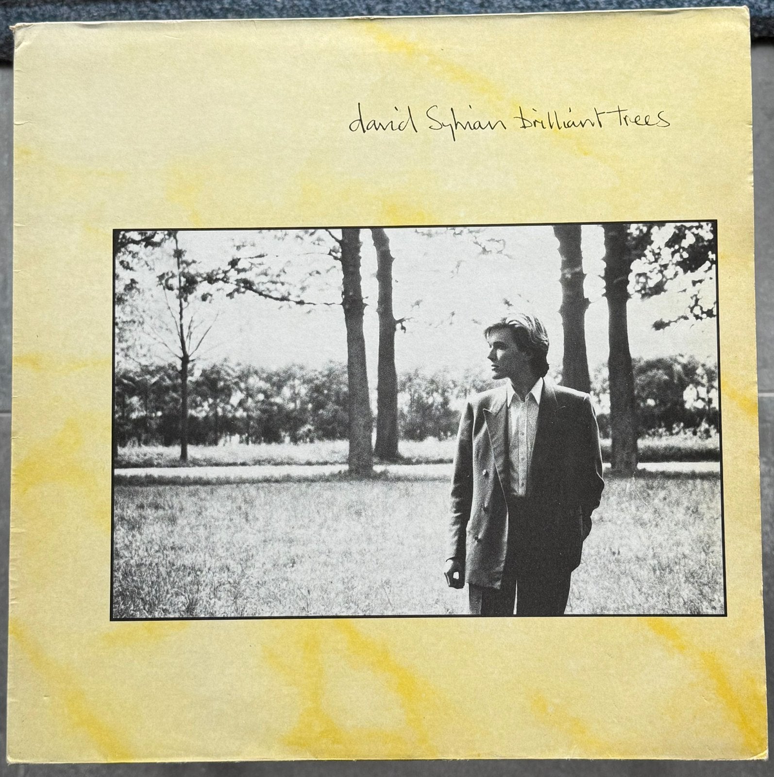 David Sylvian - Brilliant treed, CD & DVD, Vinyles | Rock, Enlèvement ou Envoi, Utilisé, 12 pouces, Alternatif