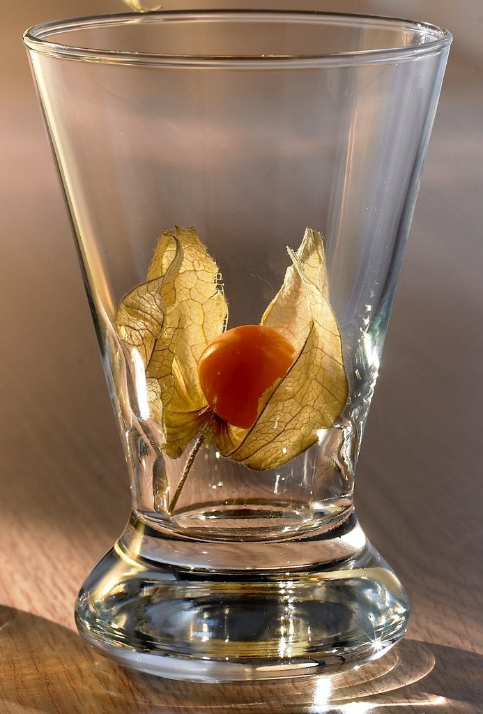 Amuse - Borrelglazen 6cl – 6 stuks Durobor | Nieuw | Op=Op, Glas of Glazen, Overige merken, Nieuw, Ophalen of Verzenden