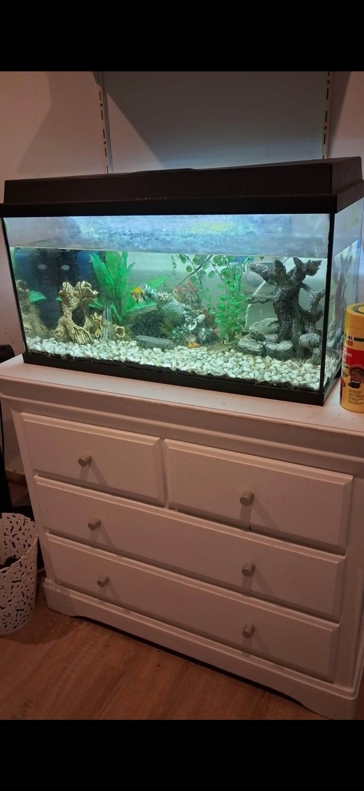 Aqaurium, Dieren en Toebehoren, Ophalen, Gebruikt
