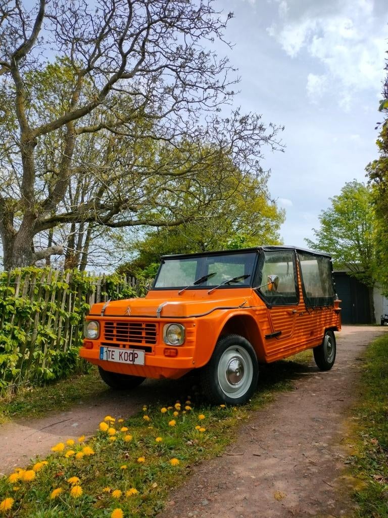 Citroën Mehari 1979 homologuée pour la vente, Autos, Autres modèles, Achat, Boîte manuelle, Autres couleurs