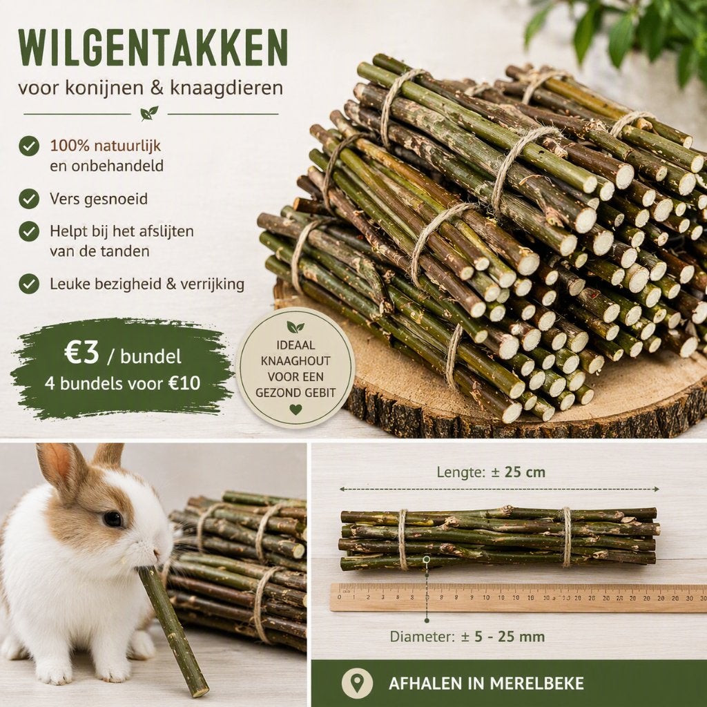 Wilgentakken voor konijnen – 100% onbehandeld – €3/bundel, Enlèvement, Comme neuf
