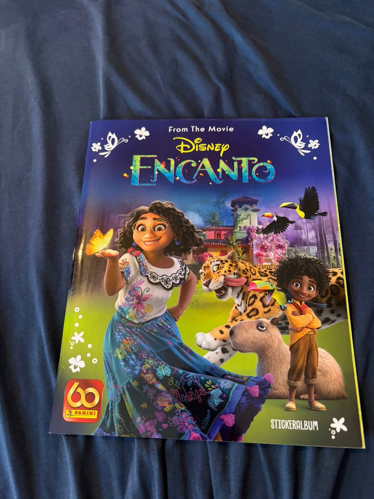 Encanto stickerboek panini, Ophalen, Overige figuren, Zo goed als nieuw, Overige typen