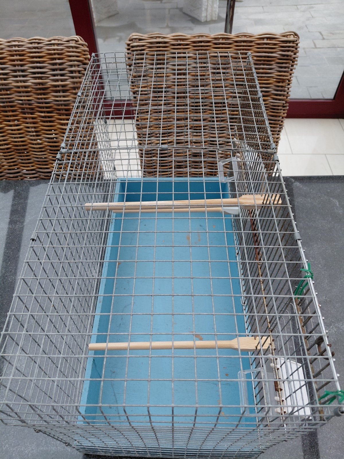 Cage oiseaux., Enlèvement, Cage