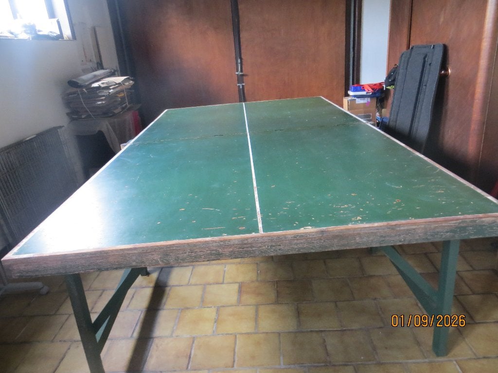 Pro pingpongtafel, Sport en Fitness, Ophalen, Gebruikt, Tafel Indoor, Inklapbaar