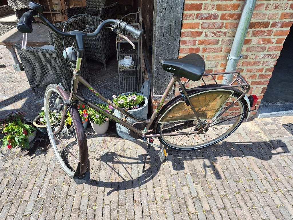 Gratis oudere gazelle fiets. 28 inch, Fietsen en Brommers, Ophalen, Gazelle
