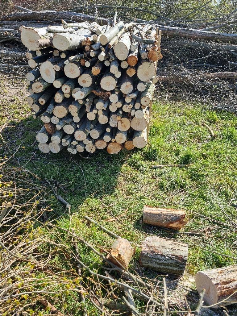 Hout, Ophalen, Overige houtsoorten, Takken
