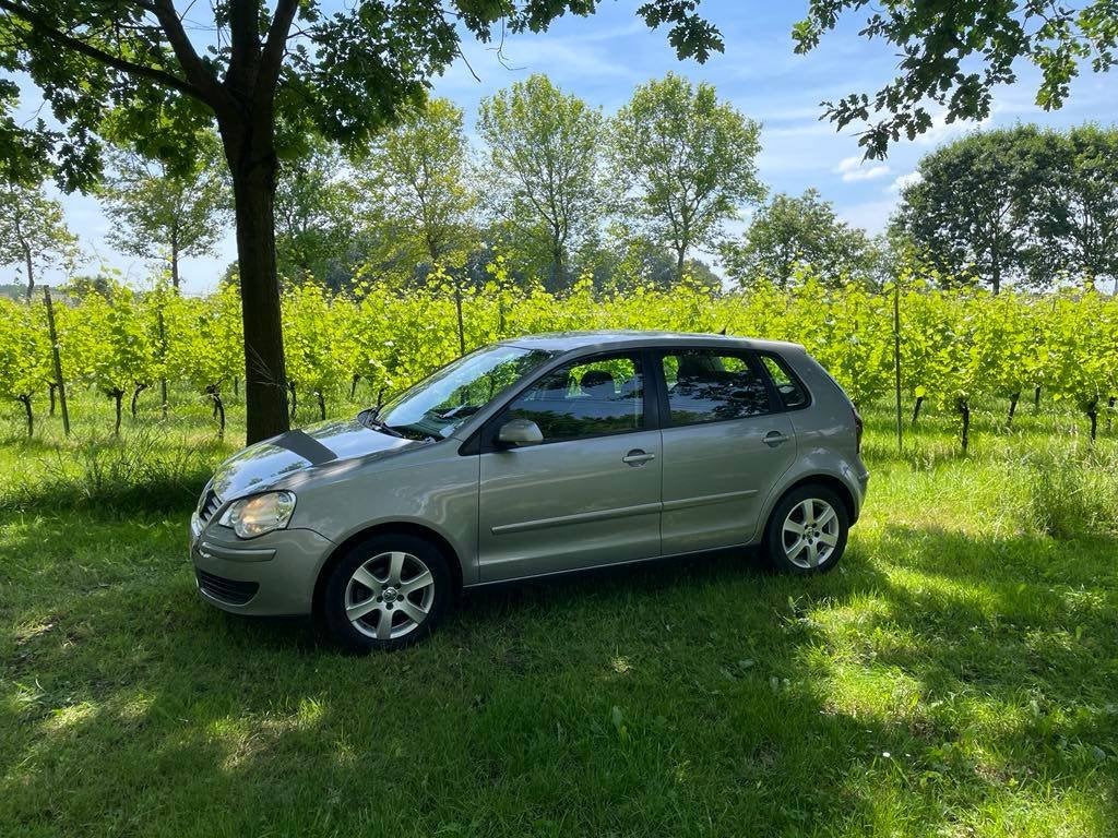 Volkswagen Polo, Autos, Argent ou Gris, Achat, 5 portes, 5 places