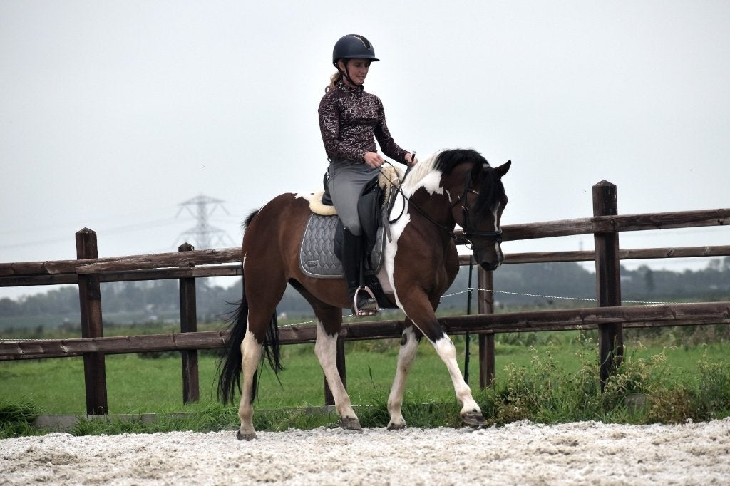 ## PRACHTIGE en hele lieve bonte Epony ruin ##, Animaux & Accessoires, Avec puce électronique, Hongre, Poney de récréation, Poney E (1.48 m - 1.57m)