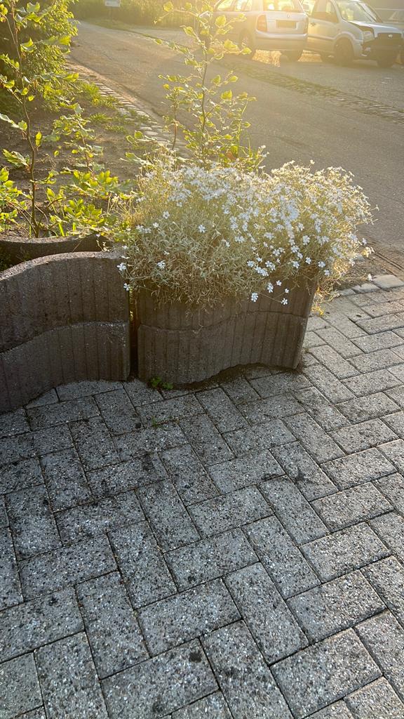 9 bloembakken in visvorm, Ophalen, Gebruikt, Steen