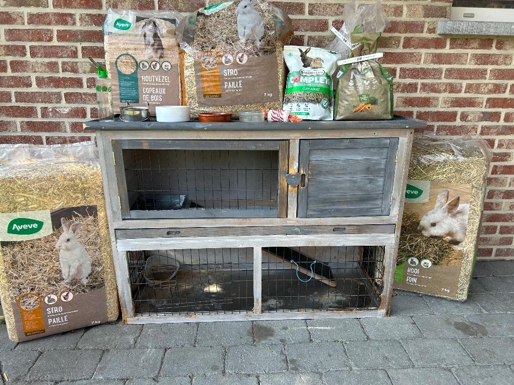 Konijnenhok met toebehoren., Animaux & Accessoires, Rongeurs & Lapins | Cages & Clapiers, Utilisé, Niche, Enlèvement